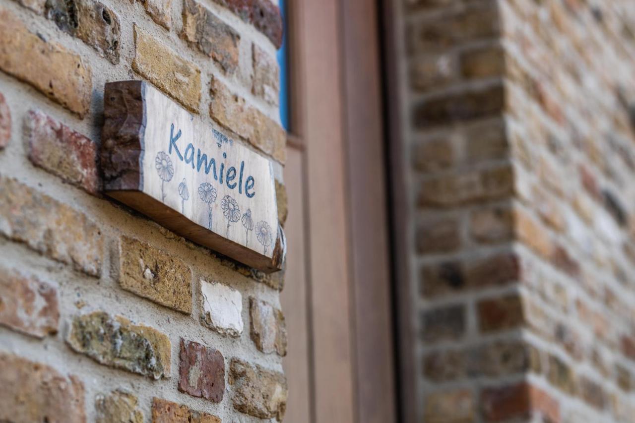 Guesthouse Kamiele Bij Lavendine Pure Genk Exteriör bild